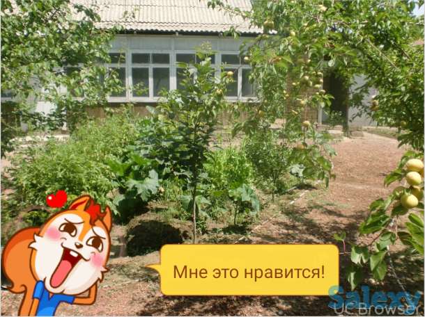 Продается два участка в Гулестане, фотография 5