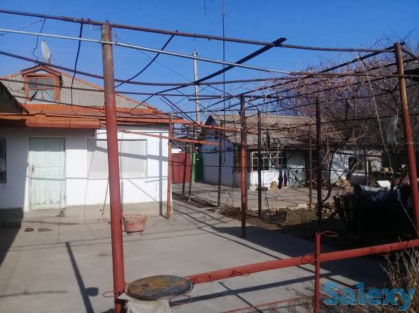 Продается два дома на окраине Чирчика, поселок Азадбаш, фотография 4