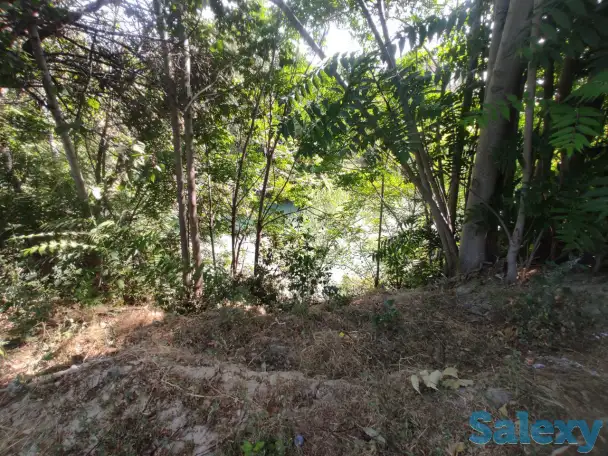 ул.Чинабад,р.Бозсу,4-комн,2-этажа,10-соток,182 м²,бассейн,сад, фотография 9