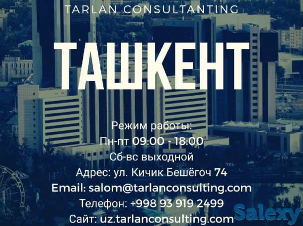 Юридические услуги от экспертов, фотография 5