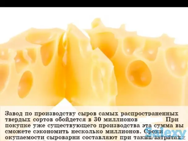 Оборудование для производства сыра.Творог.Молока и т далле, фотография 3