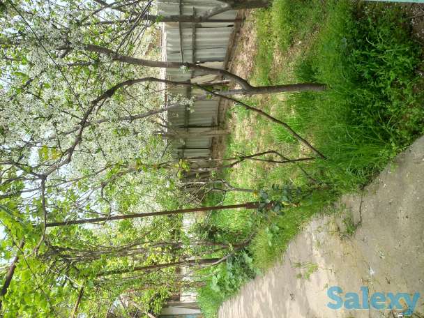 Продажа отличного дома, Населённый пункт нурли замин, фотография 1