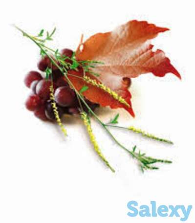 Фортивен капсулы для проблем с венами, Swiss Nahrin, Швейцария, фотография 8