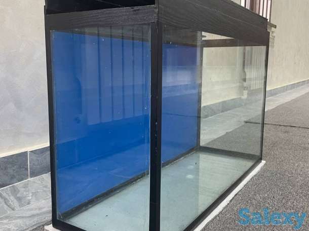 Akvarium, фотография 1