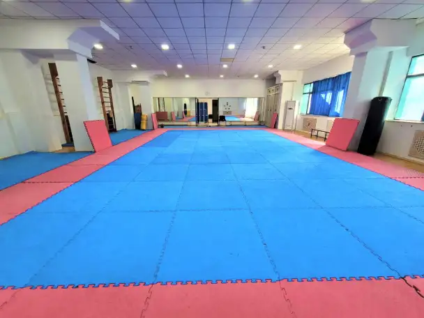 АРБ, боевое САМБО, ММА, фотография 1