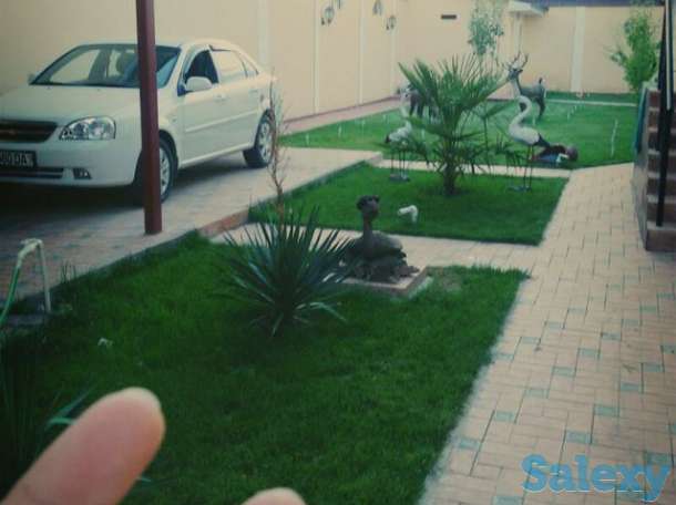 Котедж 4-х комнатный с бассейном , мебелью и c мини водопадом, фотография 7