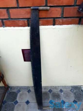 Продам пилу 'дружба'., фотография 1