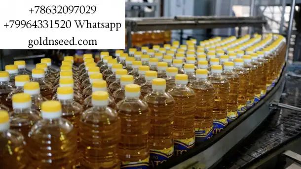 Масло подсолнечное оптом - ГК Юг Руси, фотография 1