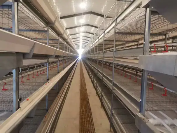 Оборудование  Big Dutchman для птицефабрики по выращиванию птиц из Китайского производителя , дешево и качественно!, фотография 4