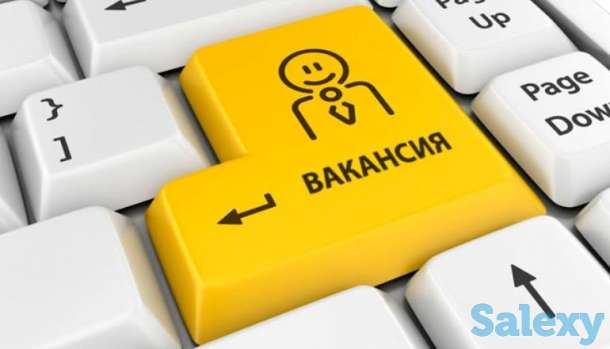 Работа для тех, кто не боится работы, фотография 1