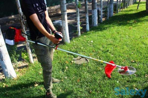 Продам Триммер-Газонокосилки 2 в 1. CG-430, 'IES', состояние: новое, фотография 1