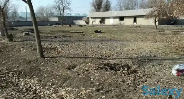 Сирдаре сувни буйида ер сотилади, Сирдарё вилояти Сирдарё тумани Шоликор МСГ, ул. Донгдор, дом 9, фотография 3