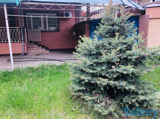 Срочно продается, Ташгрес, фотография 2