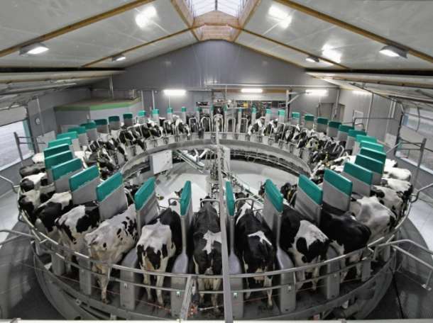 Доильные аппараты для коров, фотография 1