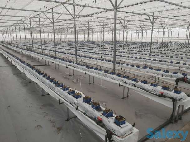 МОНТАЖ КОРЕЙСКИХ ТЕПЛИЦ ПОД КЛЮЧ, фотография 4