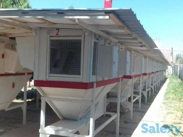 Кролиководство, фотография 2