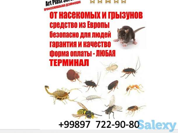 Дезинфекция от насекомых, фотография 5