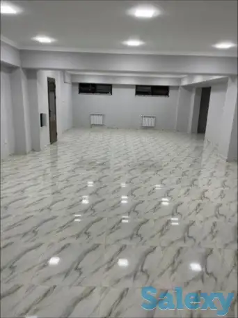 Офис,Ц-5,напр.Немецкого по-ва,112 м²+подвал 20 м²,парковка 100 м², фотография 3