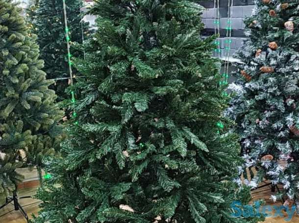 Елки 1 м - 25 м, фотография 4