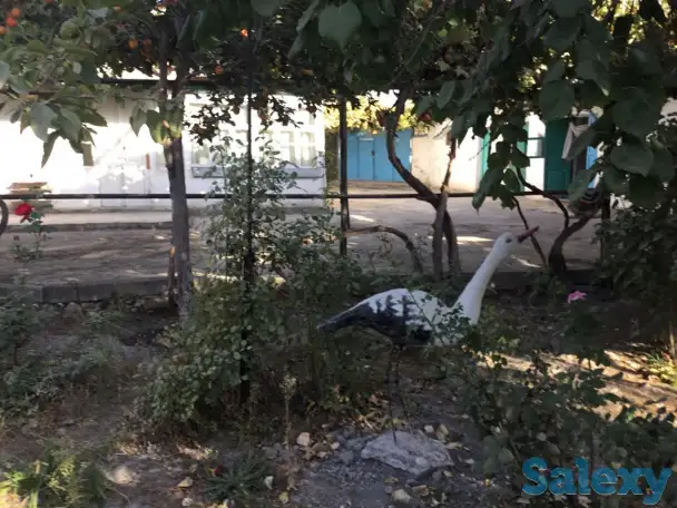 Продается дом в Tашкентской области с большим участком, гаражом и садом с фруктовыми деревьями, фотография 4