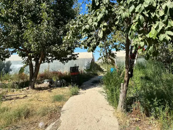 Продажа земли сельскохозяйственного назначения, Toshkent viloyati, Yangiyo'l tumani, Qora tepa MFY, Guliston ko'chasi, 56-uy., фотография 2