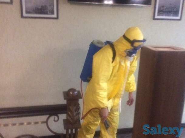 Дезинфекция от насекомых, фотография 10