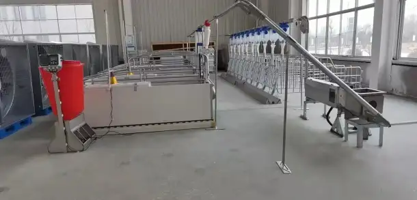 Оборудование  Big Dutchman для птицефабрики по выращиванию птиц из Китайского производителя , дешево и качественно!, фотография 8