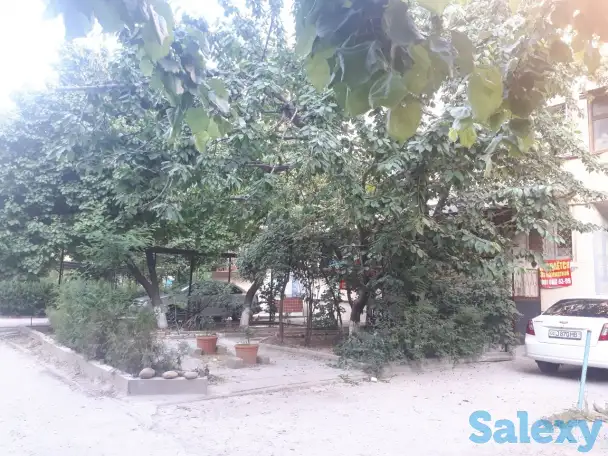 3х Комнатная Своя, 78м2, 1й этаж, серия 77, кирпич, фотография 5