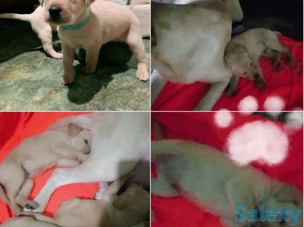 Продажа, фотография 1