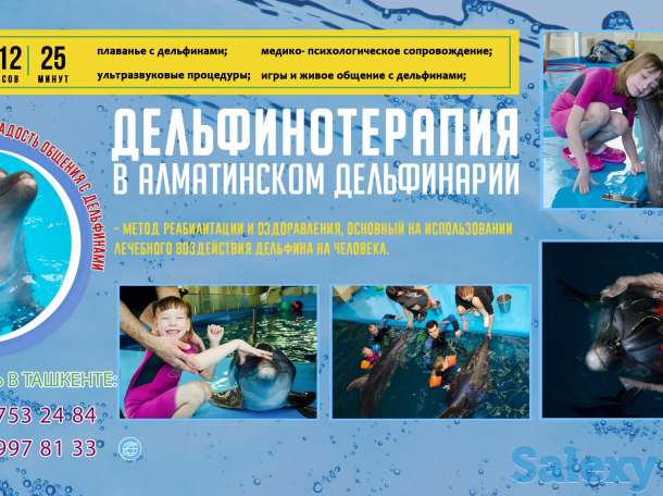 Cезонные скидки на курсы дельфинотерапии в Алматы, фотография 1