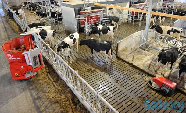 Автоматическая система кормления Lely Vector, фотография 3