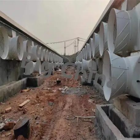 Оборудование Big Ducthman для свинокомплекса по выращиванию свиней из Китайского производителя., фотография 9