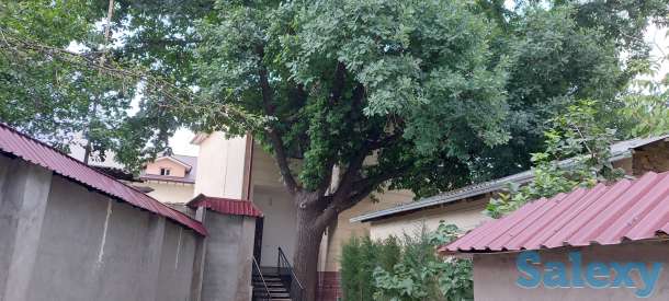 Частный дом, Ул. Олтинтепа (Циолковского), фотография 4