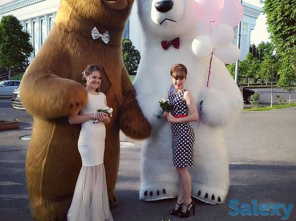 Мишки белый и бурый, фотография 1
