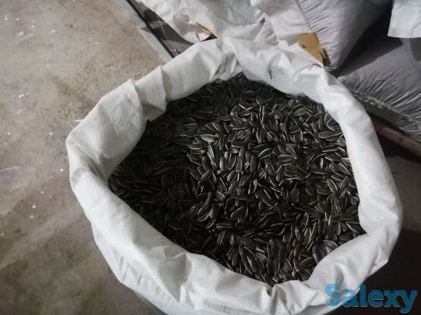 Мега семечки, фотография 1