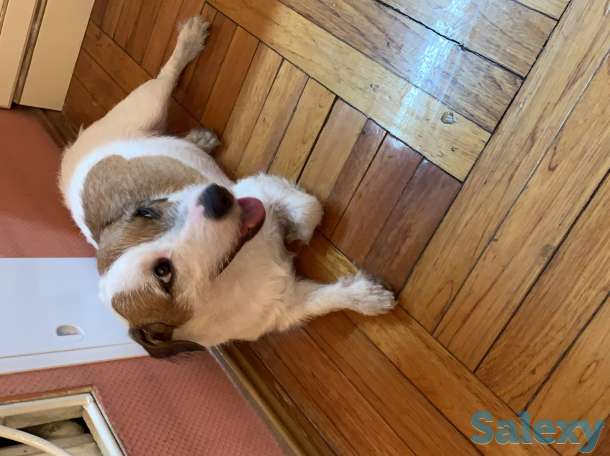 Ищем невесту, фотография 2