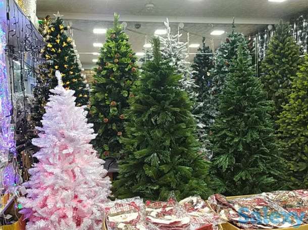 Елки 1 м - 25 м, фотография 2