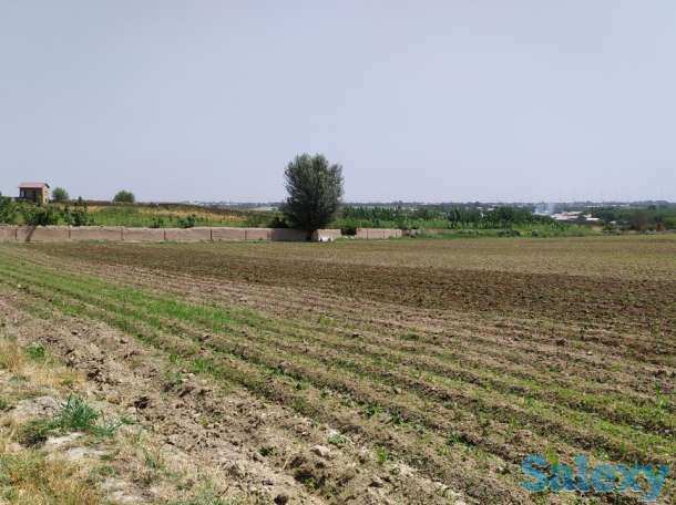 Продажа место для теплиц, фотография 3