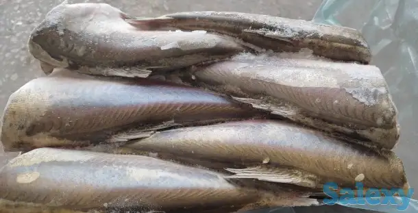 Замороженная рыба, фотография 1