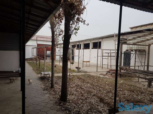 Обмен дом г.Ташкент Бектемирский р.н Куйлюк 