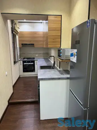 м.Космонавтов,ЦУМ,2-комнатная,3/4,65 м²,ремонт,мебель,техника, фотография 3