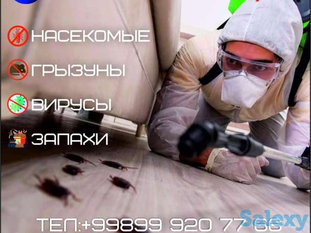 Дезинфекция от Bieffe-DEZ, фотография 1