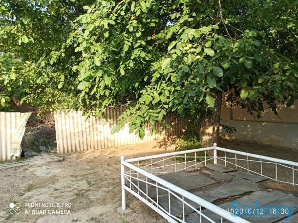 Продам, Кукча дарбоза, фотография 1