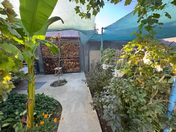 Продам свою Дачу 6 соток в Пскенте со всеми условиями и с техникой, фотография 4