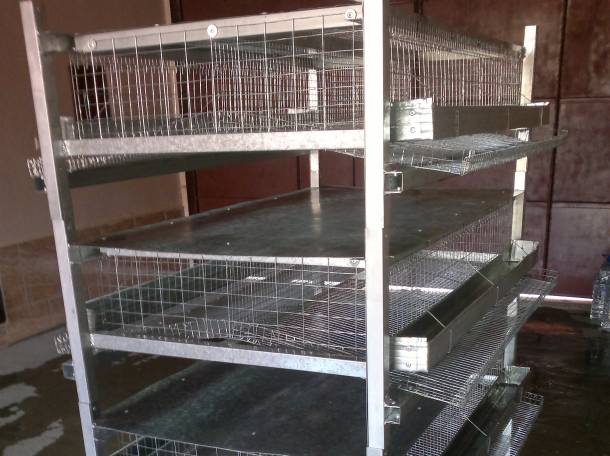 Продается клетка для перепелов , фотография 1