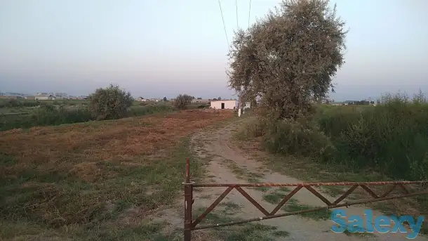 Продается ферма, фотография 1