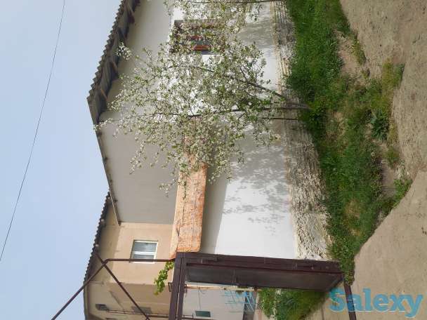 Продажа отличного дома, Населённый пункт нурли замин, фотография 3