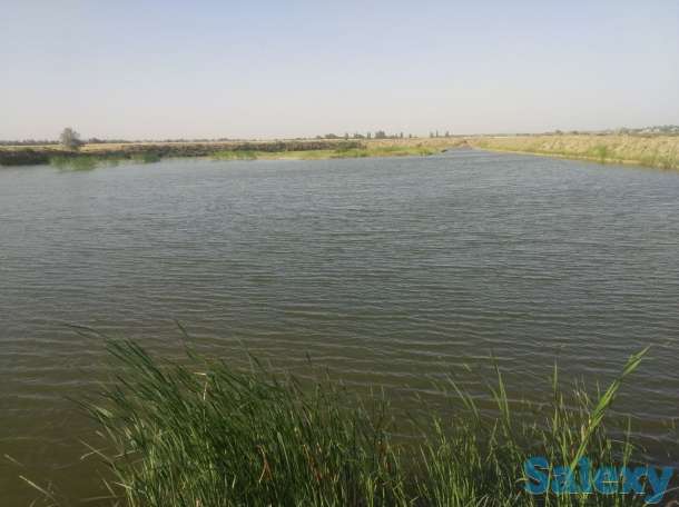 Рыбхоз Алимкент. 11 гектар. готовый рабочий пруды, фотография 1