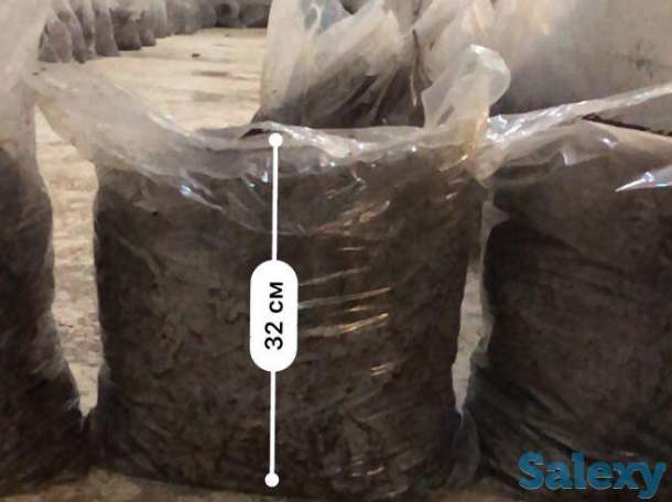 готовим на заказ компост и мицелий, фотография 1