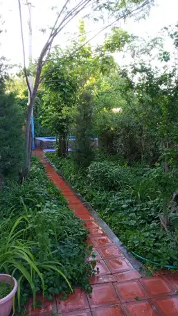 Продам Дом - Дача .Кадастр Яшнабадский район , возле реки Чирчик, фотография 6